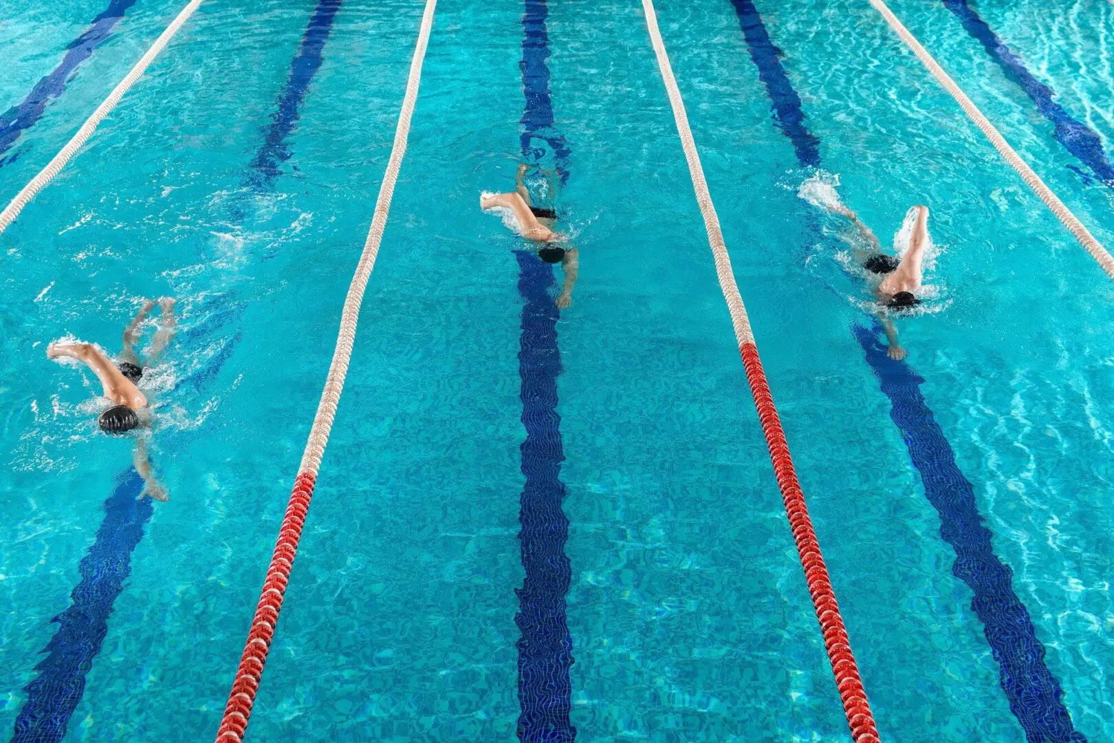 Two swimmers racing in adjacent lanes of a swimming pool.